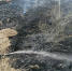 c8f5295373ac766c8673623eb1ebc814.jpg - Газета Рошальский вестник